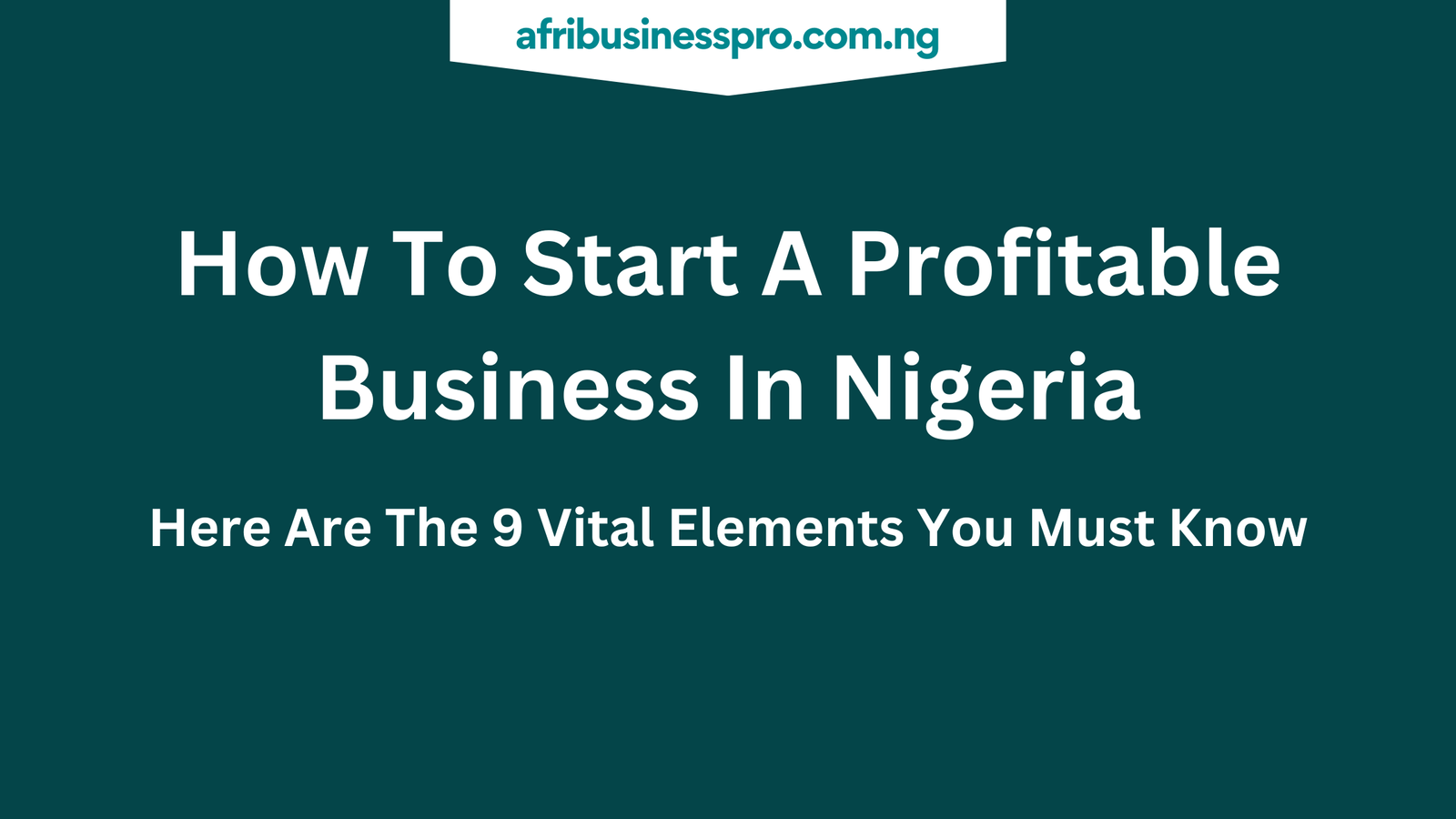 How To Start A Profitable Business In Nigeria - afribusinesspro