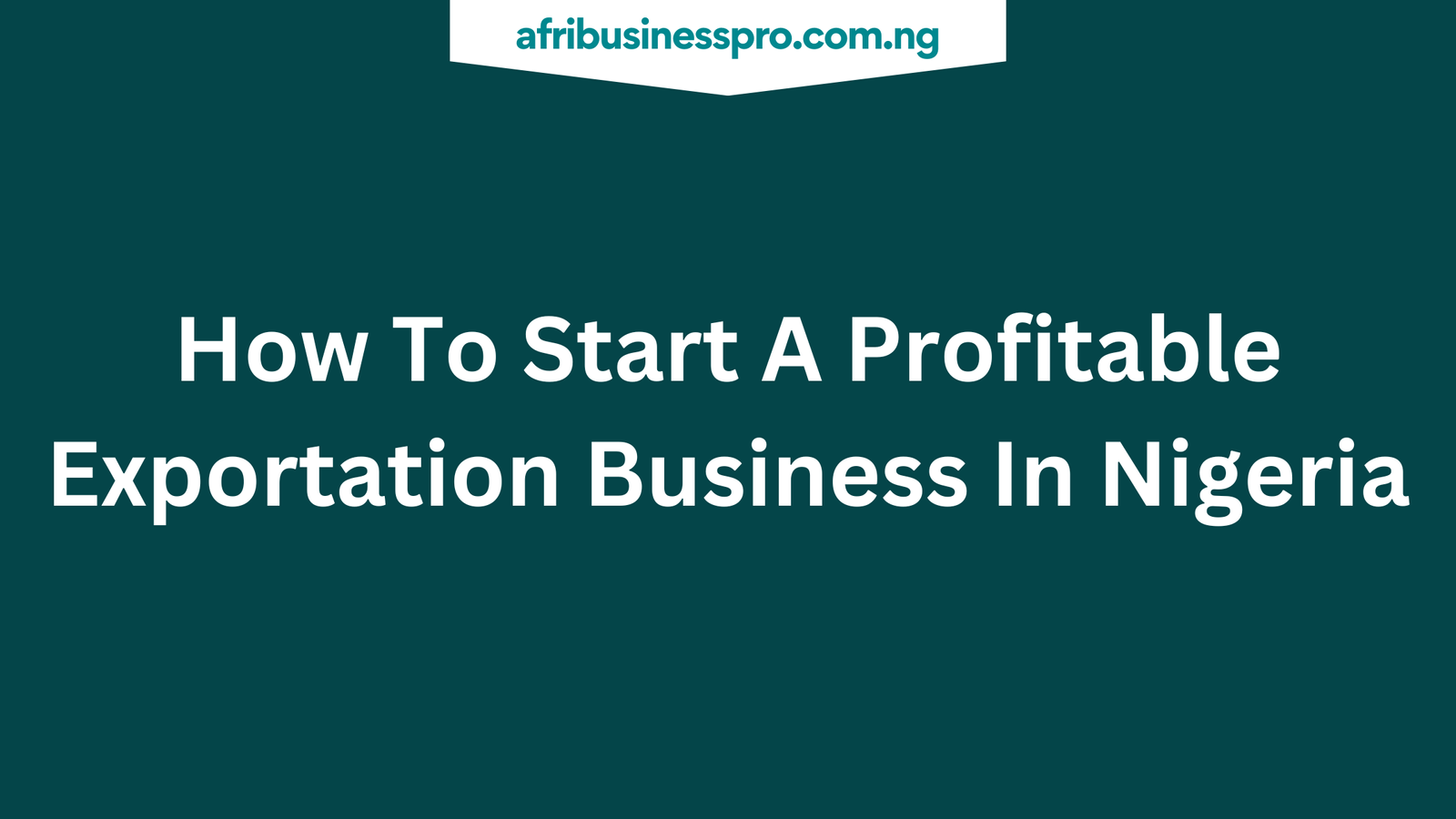 How To Start A Profitable Exportation Business In Nigeria Learn How