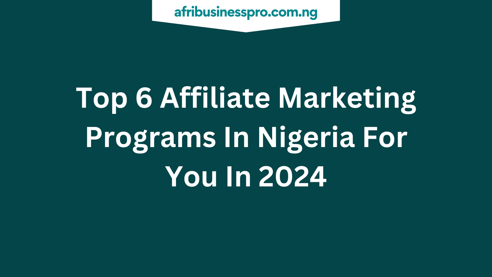 Top 6 Affiliate Marketing Programs In Nigeria For You In 2024 - afribusinesspro